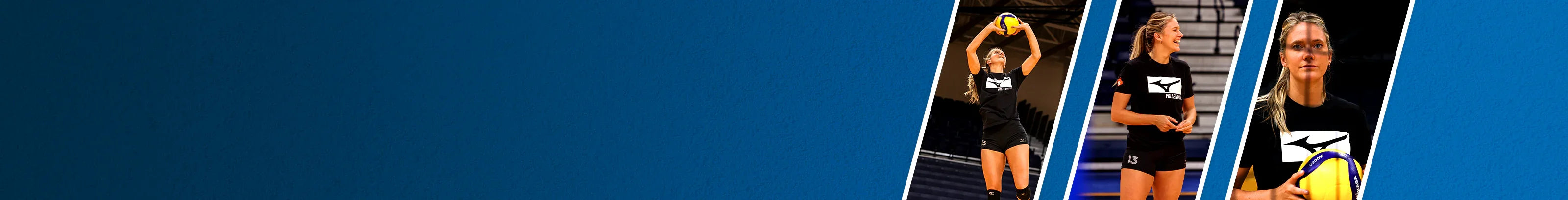 Volleyball Equipment - Sports Excellence