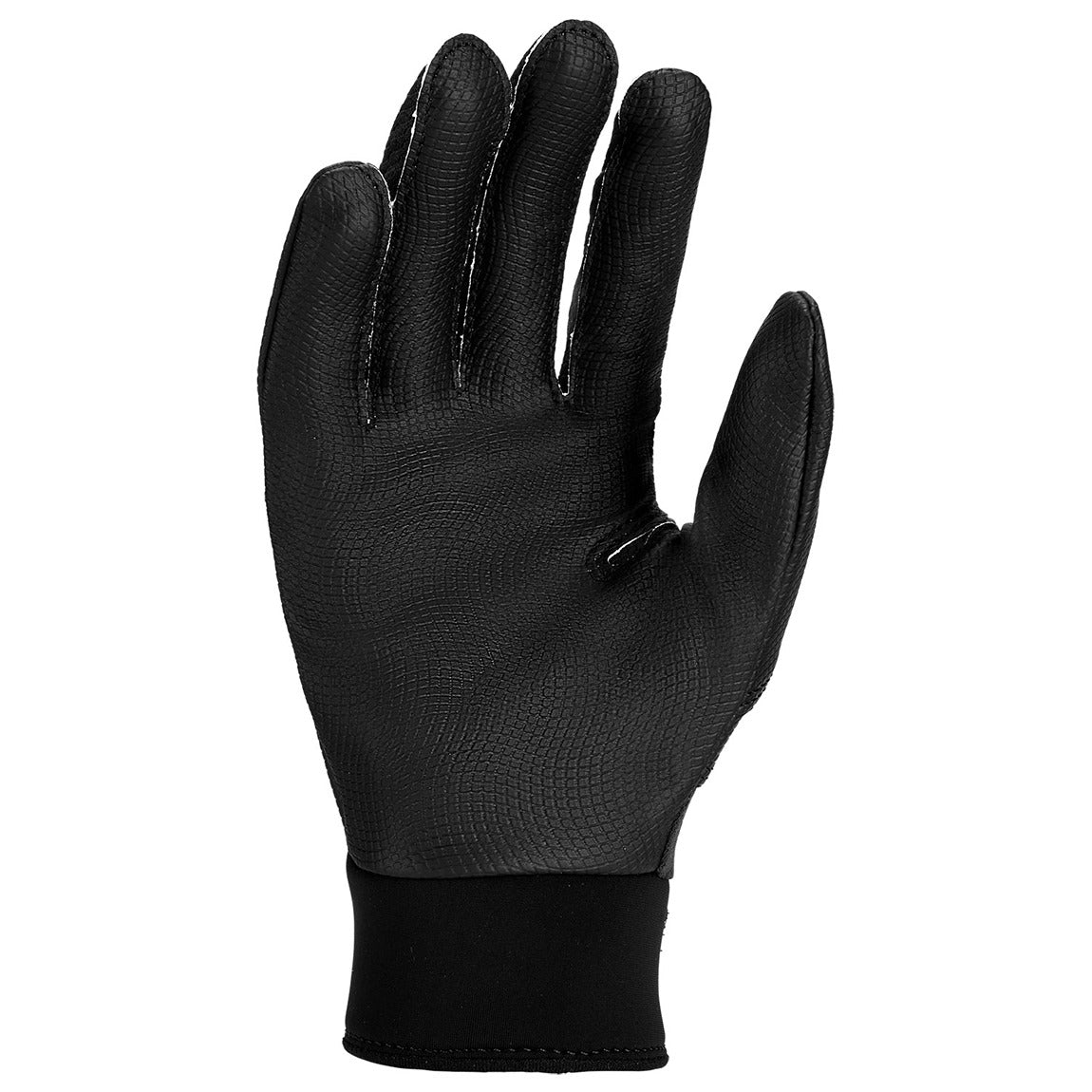 Nike Alpha 2.0 Youth Batting Gloves (2026)