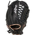 Rawlings R9 12" Fastpitch Softball Glove (RR9SB120-6CB) (2025) - Sports Excellence
