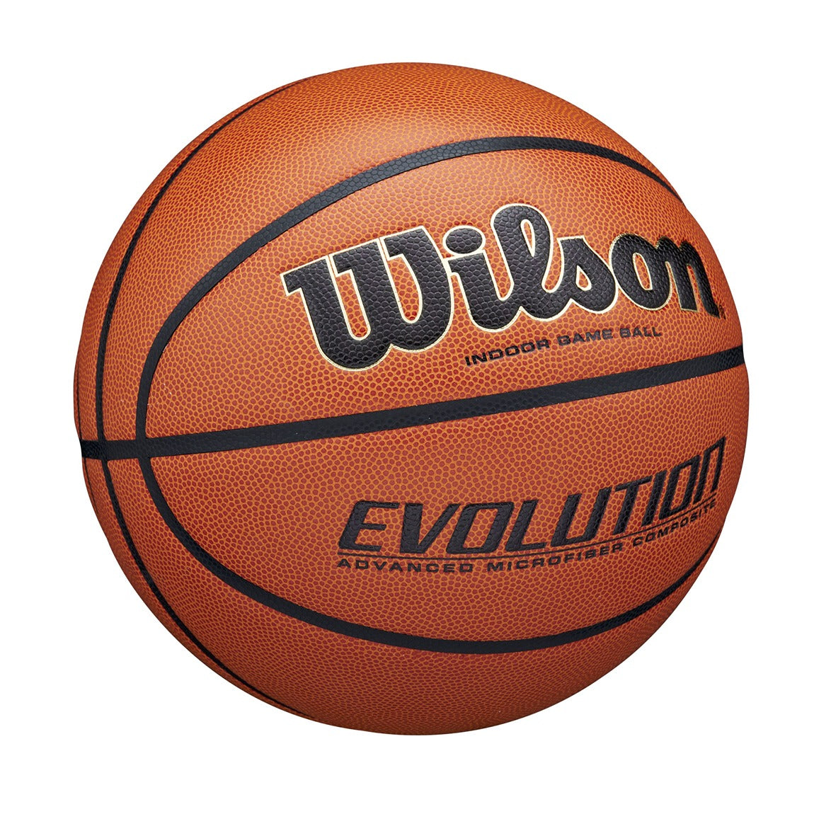 Wilson Evolution Game Basketball