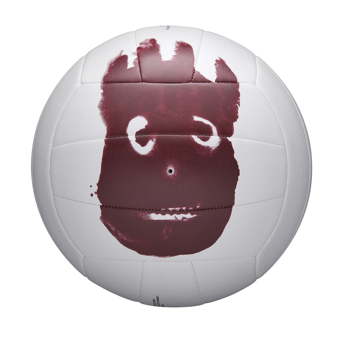 Wilson AVP Castaway Volleyball