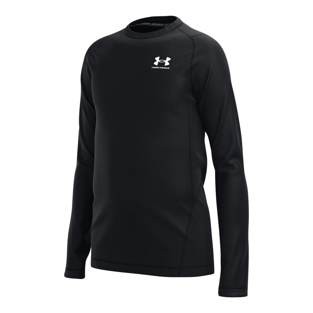 Under Armour ColdGear® Long Sleeve Tee - Youth – Sports Excellence