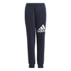 Essentials Regular Fit Big Logo Cotton Joggers - Youth - Sports Excellence