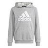 Big Logo Essentials Cotton Hoodie - Youth - Sports Excellence