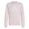Essentials Big Logo Cotton Sweatshirt - Girls - Sports Excellence